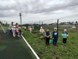 Всероссийский День "Эколят" Всероссийский День "Эколят".